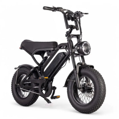 V20 Mini – Zwart – Fatbike- Hydraulische remmen