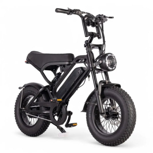 V20 Mini – Zwart – Fatbike- Hydraulische remmen