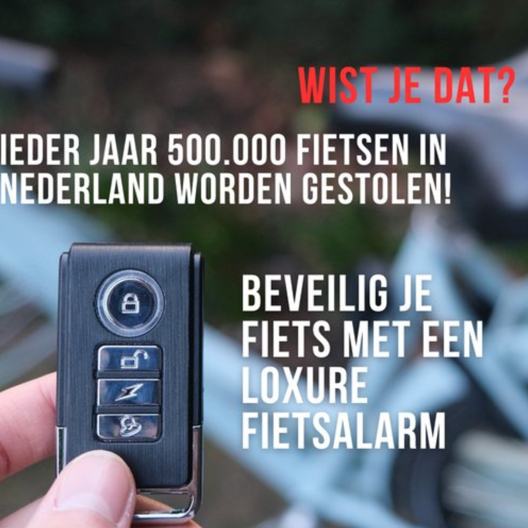 Anti-Theft Alarm System 