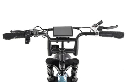 Fatbike C80 Pro Mini 2025