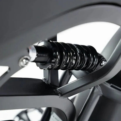 Fatbike V20 Pro 2025 with Hydraulic brakes + Free Alarm and Phone Bag Free rear seat