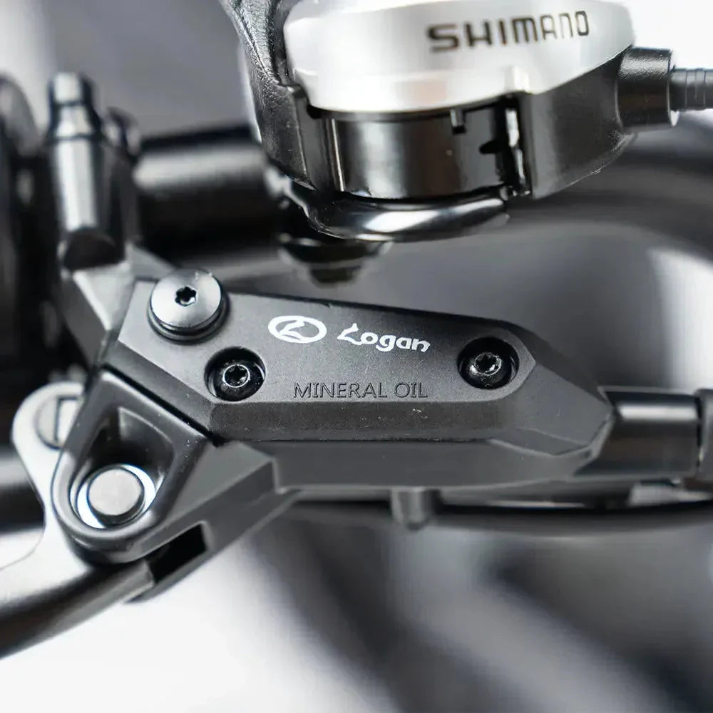 Fatbike V20 Pro 2025 with Hydraulic brakes + Free Alarm and Phone Bag Free rear seat