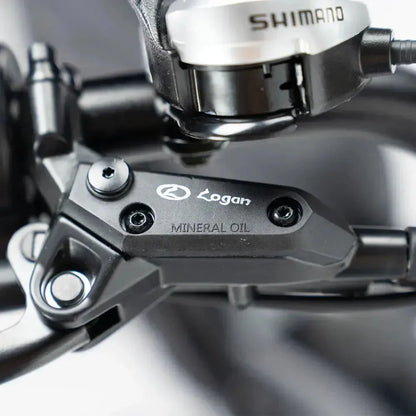 Fatbike V20 Pro 2025 with Hydraulic brakes + Free Alarm and Phone Bag Free rear seat