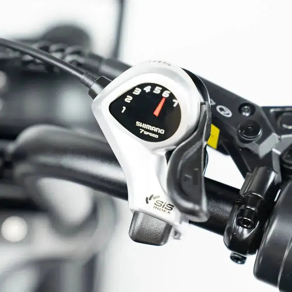 Fatbike V20 Pro 2025 with Hydraulic brakes + Free Alarm and Phone Bag Free rear seat